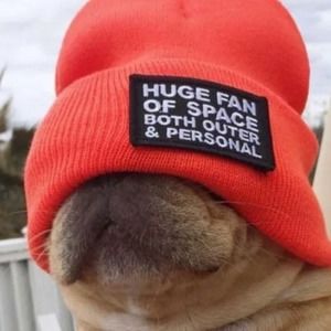 Meet your Posher, Jason